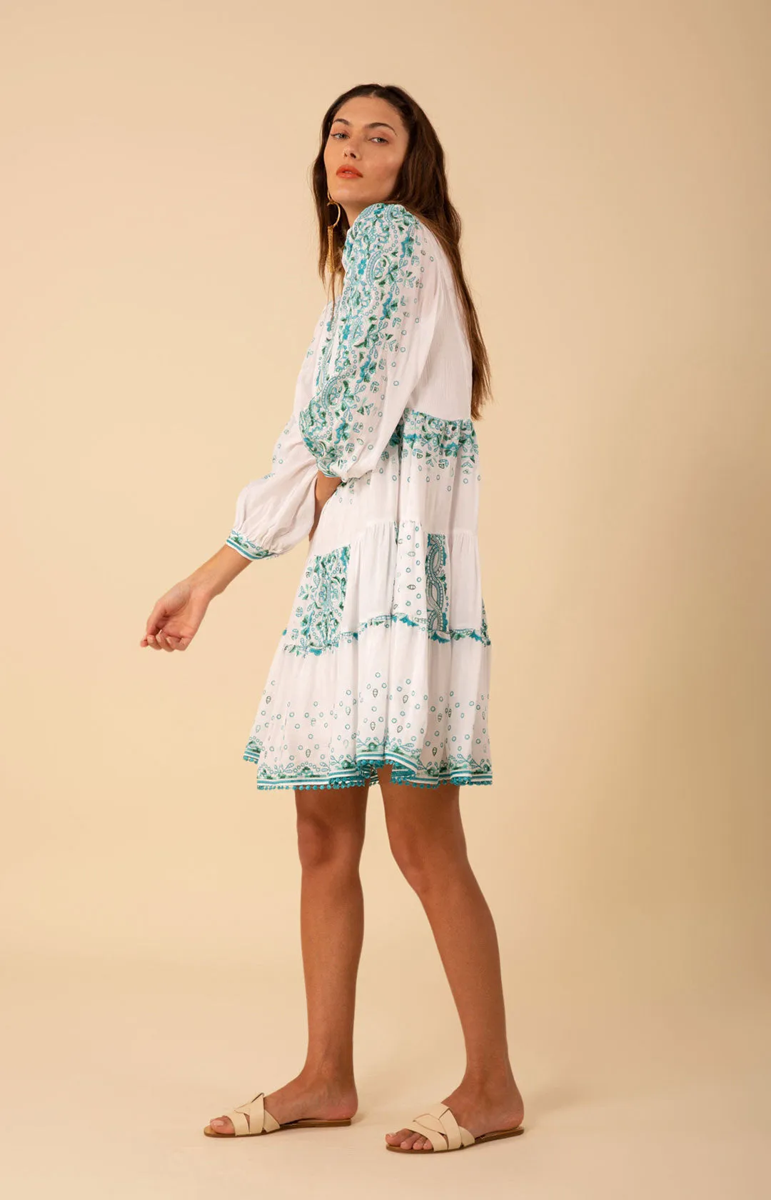 Emery Embroidered Dress